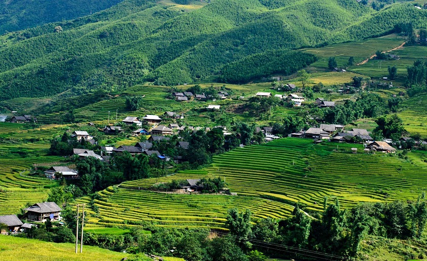 ITINERARIO 13D HO CHI MINH – CU CHI - BEN TRE – HUE - HOI AN – BAC HA – SAPA – HA NOI – NINH BINH – HA LONG