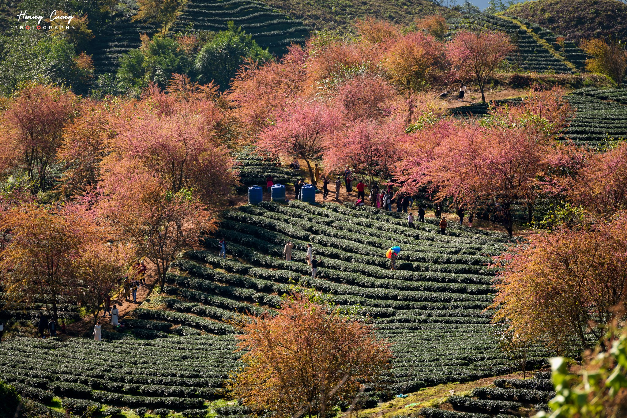 ITINERARIO 14D TREKKING HANOI – MU CANG CHAI – SAPA – HA LONG– HUE – HOI AN – SAIGON – MEKONG